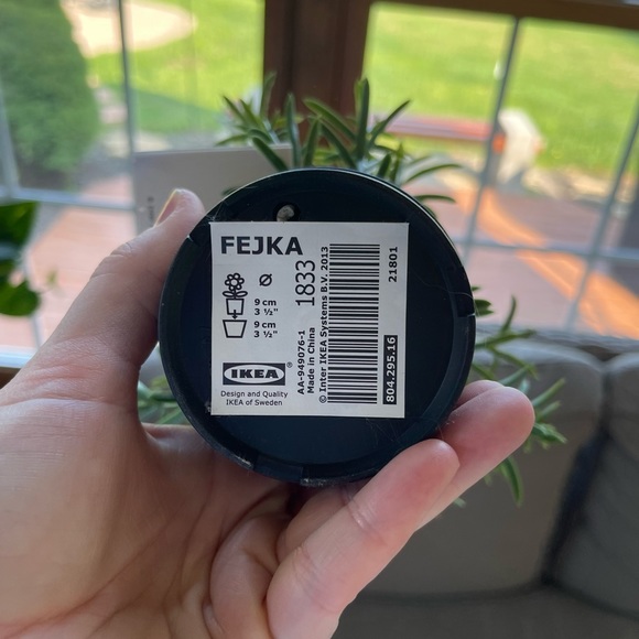 Fake ikea plant - Picture 4 of 4